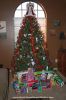 Filename=IMG_4797.JPG
Filesize=326KB
Dimensions=1024x1536
Date added=Dec 20, 2010 IMG_4797.JPG