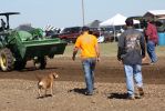 Filename=IMG_1182.JPG
Filesize=632KB
Dimensions=1024x683
Date added=Nov 02, 2014 IMG_1182.JPG