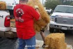 Filename=IMG_8244.JPG
Filesize=97KB
Dimensions=1024x683
Date added=Oct 04, 2012 IMG_8244.JPG