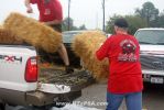 Filename=IMG_8258.JPG
Filesize=130KB
Dimensions=1024x683
Date added=Oct 04, 2012 IMG_8258.JPG