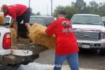 Filename=IMG_8272.JPG
Filesize=134KB
Dimensions=1024x683
Date added=Oct 04, 2012 IMG_8272.JPG