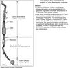 Filename=6_4Exhaust.jpg
Filesize=165KiB
Dimensions=766x747
Date added=Jan 18, 2007 6_4Exhaust.jpg
