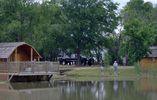 Filename=Fishing.jpg
Filesize=148KiB
Dimensions=1000x634
Date added=May 23, 2007 Fishing.jpg