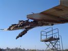 Filename=LH_WING.JPeG
Filesize=73KB
Dimensions=800x600
Date added=Jul 27, 2006 LH_WING.JPeG