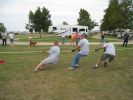 Filename=Tuggers2.JPG
Filesize=117KB
Dimensions=1024x768
Date added=Oct 05, 2009 Tuggers2.JPG