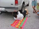 Filename=mcv-765x.jpg
Filesize=142KB
Dimensions=800x600
Date added=Jul 19, 2006 mcv-765x.jpg