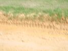 Filename=mvc-3087.jpg
Filesize=85KB
Dimensions=1024x768
Date added=Jul 19, 2006 mvc-3087.jpg
