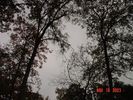 Filename=47.jpeg
Filesize=164KB
Dimensions=768x576
Date added=Jul 21, 2006 47.jpeg