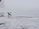 Filename=winterpic9.jpg
Filesize=111KB
Dimensions=1024x768
Date added=Jul 21, 2006 winterpic9.jpg
